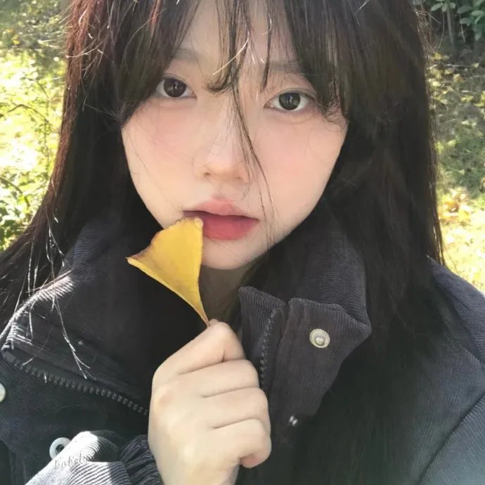 花予野兽 第二季